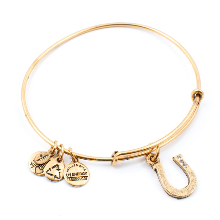Alex And Ani Bracelet Doré Fer à Cheval Alex And Ani Bracelet Doré Fer à Cheval