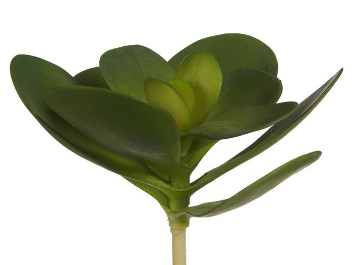 Ibergarden Plante à Feuilles Rondes 18x23x18 cm Plastique Vert (Set de 18)