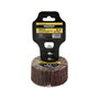WOLFPACK LINEA PROFESIONAL Disque abrasif type éventail Grain 40 60x30mm