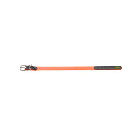 Hunter Collier pour Chien Convenience Orange L
