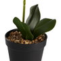 Day Plante artificielle Orchidée avec pot