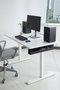 Phoenix Technologies Bac de Gestion de Câbles pour Bureau en Métal, Organisateur Sous Bureau