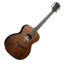 LAG Guitare Acoustique Auditorium Sauvage Brankowood Solide Table Eucalyptus Finition Satinée Naturelle Noire 650mm 20 Frettes Étui Inclus