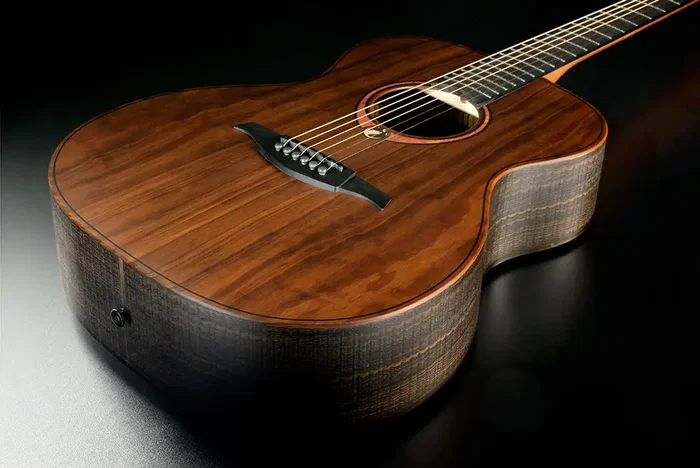 LAG Guitare Acoustique Auditorium Sauvage Brankowood Solide Table Eucalyptus Finition Satinée Naturelle Noire 650mm 20 Frettes Étui Inclus