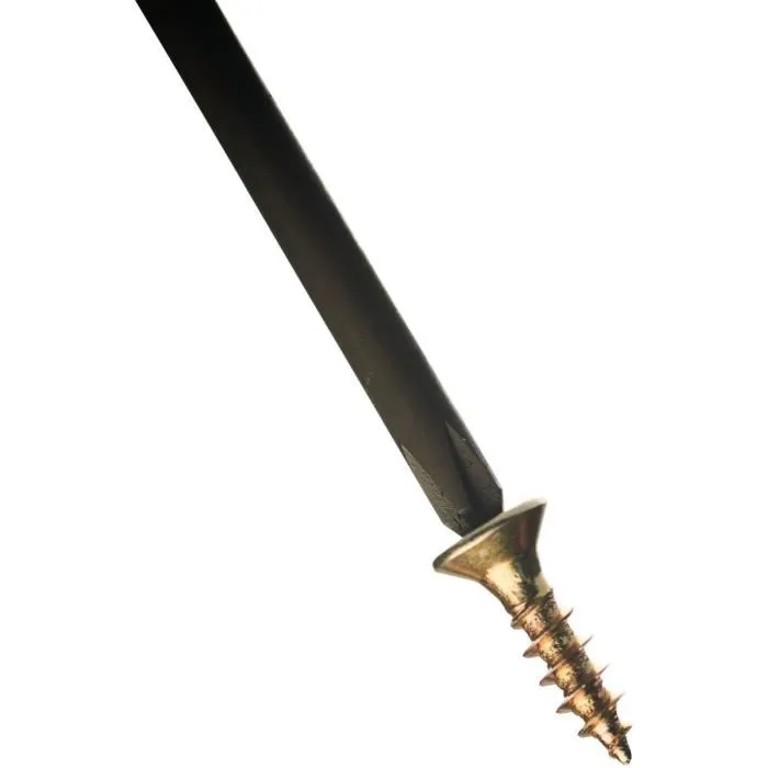 Ryobi - Jeu de 6 tournevis de précision pour travaux minutieux - SL1, SL2, SL3, PH1, PH0