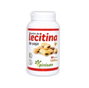 PINISAN Lécithine 1200mg 90 perles