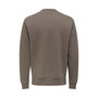 Sweat sans capuche homme Only & Sons Onsdawson Reg Crew Vd Falcon Marron
