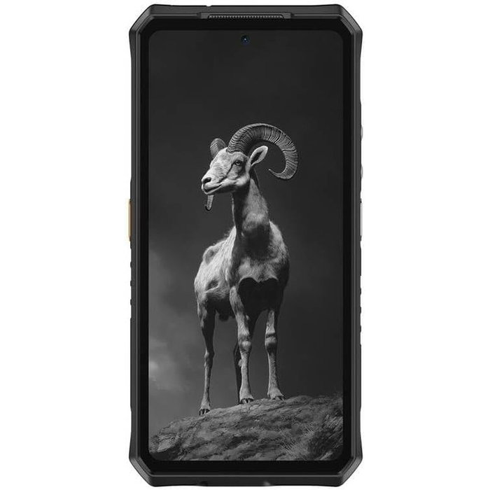 Smartphone Ulefone ARMOR 28 PRO 6,67" 16 GB RAM 16 GB 512 GB Noir