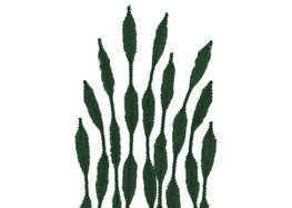 Innspiro Limpiapipas Chenille Vert Foncé 13mm x 30cm (25 pièces)