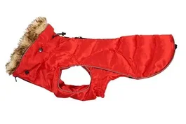 Kruuse Buster Active Gaban Rouge High Risk XXS