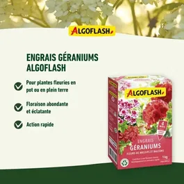 Algoflash Naturasol Engrais Géraniums, Fleurs de Massifs et Balcons, 1 kg