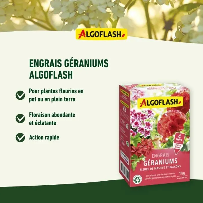 Algoflash Naturasol Engrais Géraniums, Fleurs de Massifs et Balcons, 1 kg