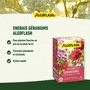 Algoflash Naturasol Engrais Géraniums, Fleurs de Massifs et Balcons, 1 kg