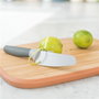 Berghoff Couteau à légumes avec éplucheur gris 11 cm