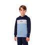 Sweat à capuche enfant Champion Icons Plus Bleu Indigo M