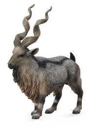 COLLECTA Marjor - Échelle L - Animaux de la forêt