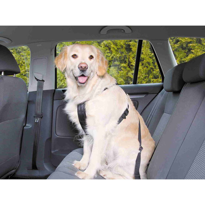 Harnais pour Chien Trixie Noir L Harnais pour Chien Trixie Noir L