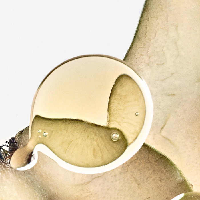 Loewe SEULEMENT ELLE ELIXIR Eau de Parfum Vapo 50 ml