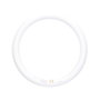 GSC Evolution Tube circulaire LED Lisala 30W G10q 6500K