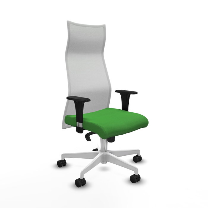 Piqueras y Crespo Chaise de Bureau Albacete XL Vert et Blanc Piqueras y Crespo Chaise de Bureau Albacete XL Vert et Blanc
