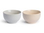 Vessia Bol Petit-déjeuner Assorti 2 Couleurs Claires 650 ml 14x8x14 cm (Set de 24)