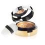 Elizabeth Arden PURE FINISH MINERAL poudre fond de teint #6