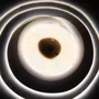 SKY Tira LED COB 5M 5W/M 450Lm/M 4000ºK IP20 24VDC Blanco Natural