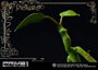 Prime 1 Studio Statuette Pickett - Les Animaux fantastiques