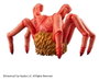Union Creative The Thing statuette Sofbi Fantastic PVC Spider Head 12 cm