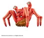Union Creative The Thing statuette Sofbi Fantastic PVC Spider Head 12 cm