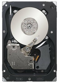 Seagate Cheetah 15K.7 300 GB SAS