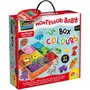 Lisciani Box Colours - Jeu d'apprentissage et de classification des couleurs basé sur la méthode Montessori, pièces en carton résistant 5mm, pour enfants dès 1 an