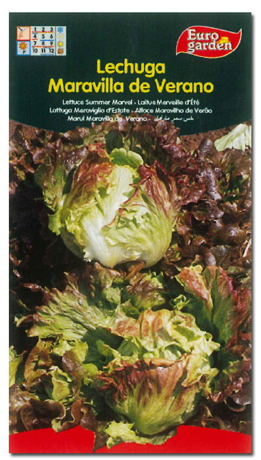 SEMILLAS FITO HORTICOLAS Semences de Laitue Maravilla de Verano, Boîte de 10 SEMILLAS FITO HORTICOLAS Semences de Laitue Maravilla de Verano, Boîte de 10