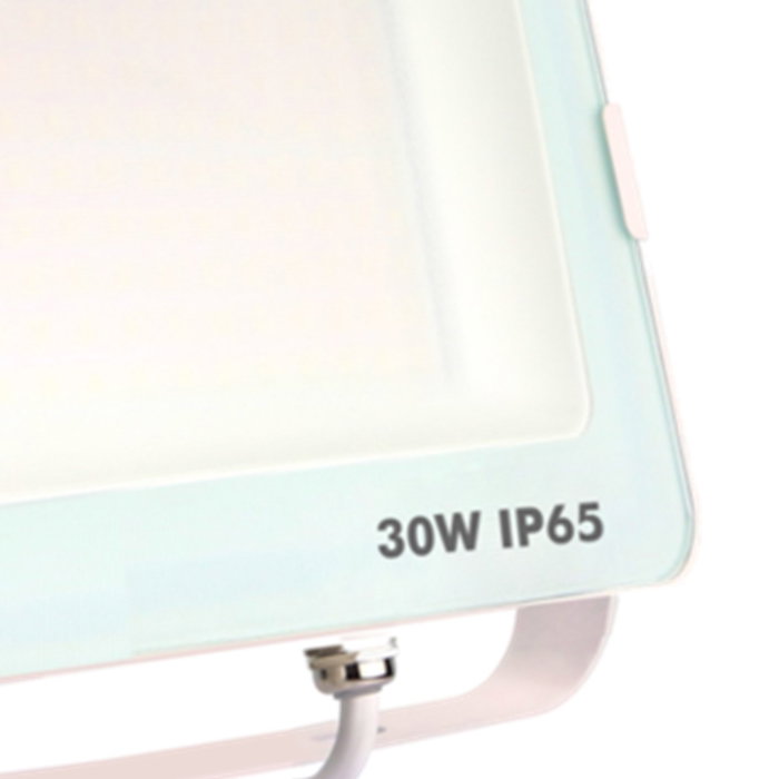 Silver Projecteur LED 30W 3000K Blanc IP65 Intérieur Extérieur Silver Projecteur LED 30W 3000K Blanc IP65 Intérieur Extérieur