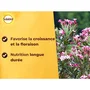 Solabiol Engrais Lauriers & Bougainvilliers - 1,5 kg pour Jusqu'à 30 Pieds - Favorise la Floraison et la Croissance des Plantes Méditerranéennes et Grimpantes