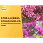 Solabiol Engrais Lauriers & Bougainvilliers - 1,5 kg pour Jusqu'à 30 Pieds - Favorise la Floraison et la Croissance des Plantes Méditerranéennes et Grimpantes