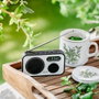 Adler Radio numérique PLL AM/FM AD 1906 avec réglage automatique, écran LCD, réveil et alarme, USB-C, 12,5 x 3 x 7,5 cm