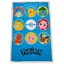 Pokemon Plaid Sherpa - Pokedex - 100 x 150 cm
