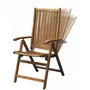 Fieldmann FDZN 4001-T Chaise de jardin réglable en bois d'acacia tropical, dossier ajustable 5 positions, pliable, pour intérieur et extérieur, capacité 120 kg