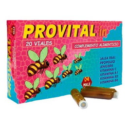NALE PROVITAL INFANTIL 20 flacons buvables