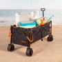 Color Baby Aktive Chariot de plage pliable XXL avec porte et roues