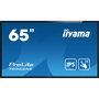 Écran Iiyama T6562AS-B1 4K Ultra HD 65"