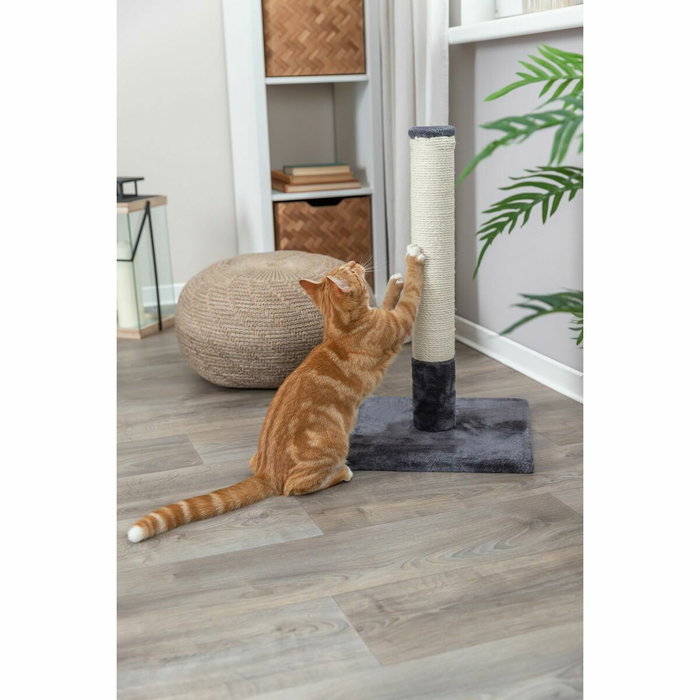 Trixie Poteau Griffoir Chat - 63 cm - Gris platine