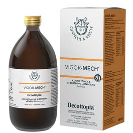 DECOTTOPIA VIGOR-MECH 500ml