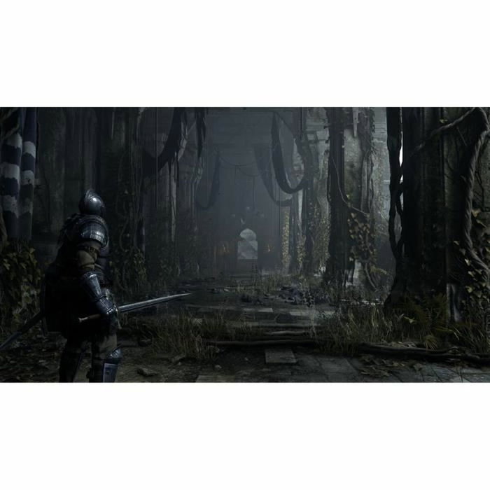Sony Computer Entertainment Demon's Souls PS5