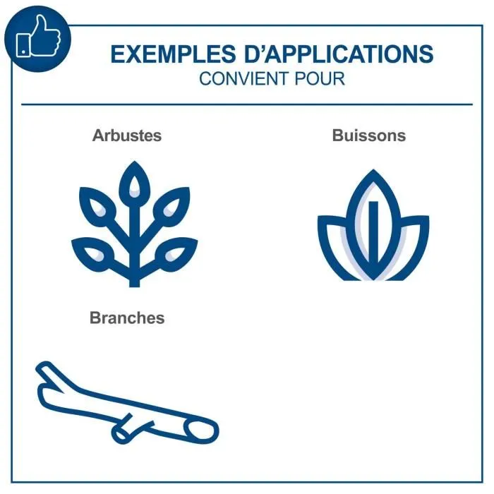 Scheppach BC-PS150-X - Tronçonneuse sans fil 6" (15.8 cm) 20V IXES - Compacte et légère - Guide-chaîne ProCut - Sans batterie ni chargeur
