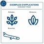 Scheppach BC-PS150-X Tronçonneuse sans fil 15,8 cm