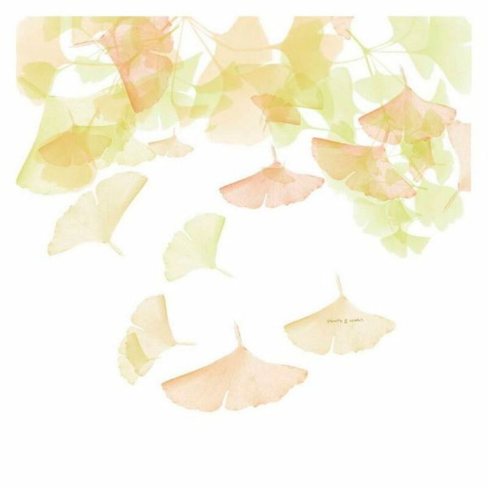 Housse de Couette Devota & Lomba Rai Housse de Couette Devota & Lomba Rai