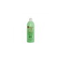 Design Look Shampooing à la Menthe 1000 ml