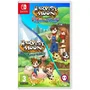 Just For Games Harvest Moon The Lost Valley + Skytree Village - Jeu de simulation agricole pour Nintendo Switch